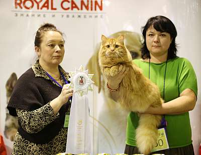 �������� ����� 18-19 ������� 2014 WCF-����� 10-50-169A3112 copy.jpg